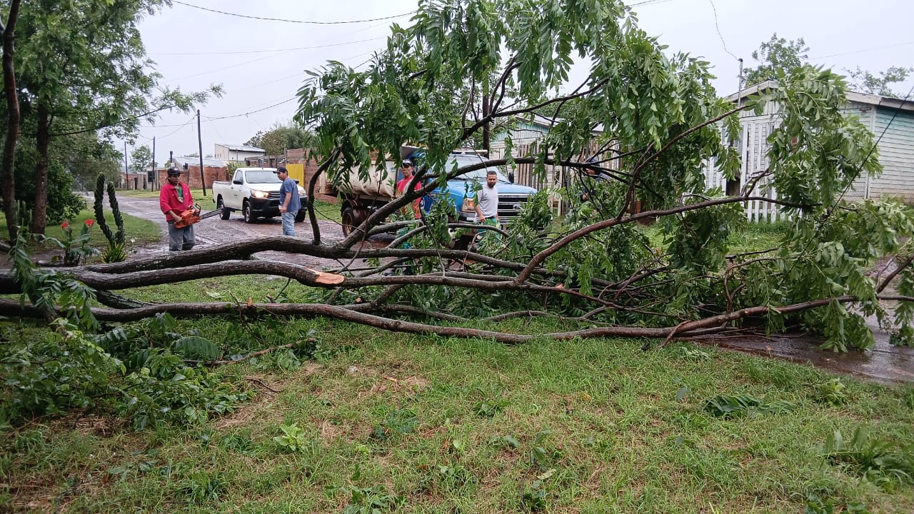 <p>Frente al temporal, el Municipio despliega cuadrillas para despejar calles y relevar daños</p>